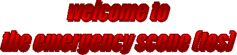 welcome to the emergency scene (tes)